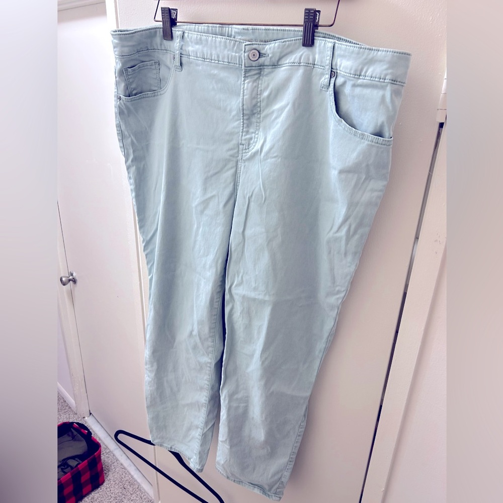 20W Chico's Light Blue Pants
